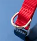 Custom Puppy Harnesses and Leashes Blessing Brand 10