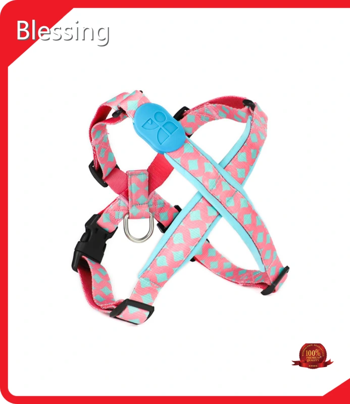 Blessing OEM Custom Dog Collar Manufacturer 1