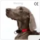 Custom Puppy Harnesses and Leashes Blessing Brand 1