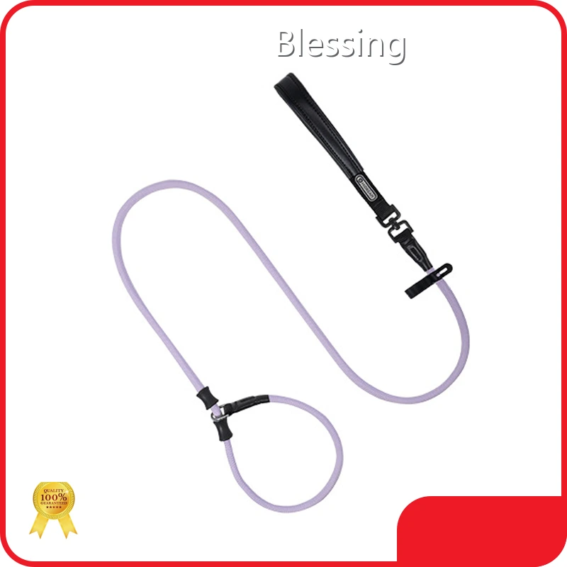 Hot Puppy Harnesses and Leashes Blessing Brand 1
