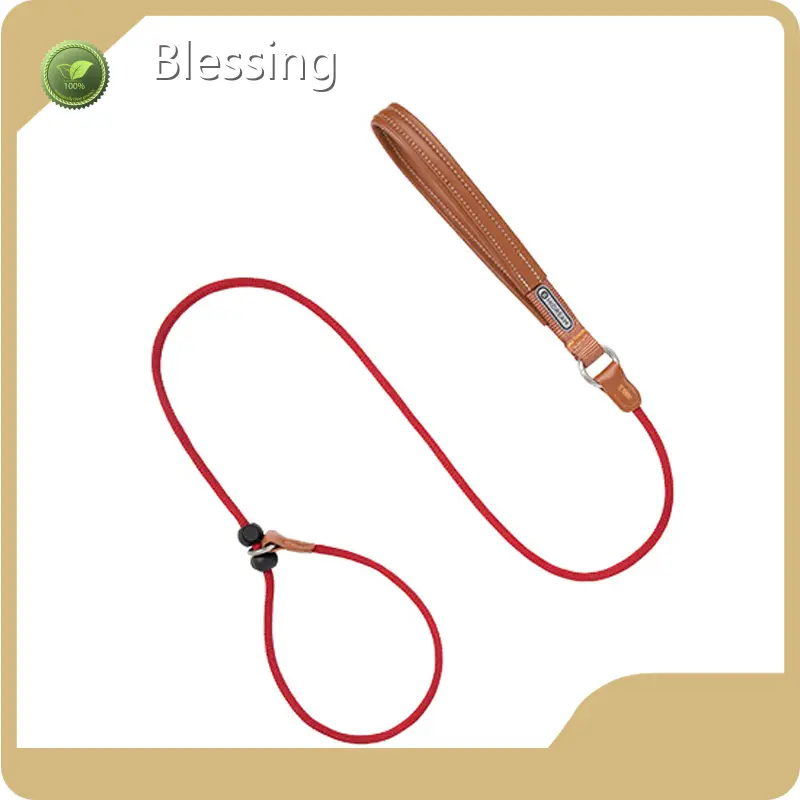 New Blessing Custom Dog Collars with Name 1