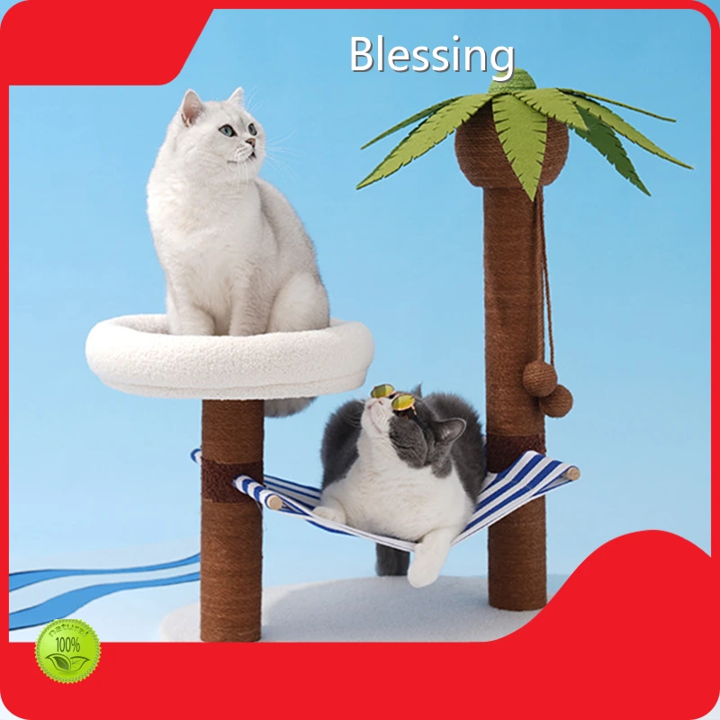 Custom Wholesale Dog Supplies Blessing 1