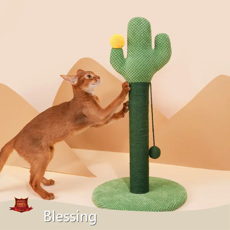 OEM Wholesale Cat Supplies Blessing Company 1