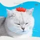Dog Toy Wholesale Suppliers Factory 1