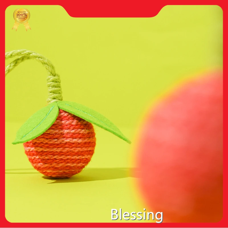 Blessing | OEM Wholesale Cat Supplies Manufacturers 1