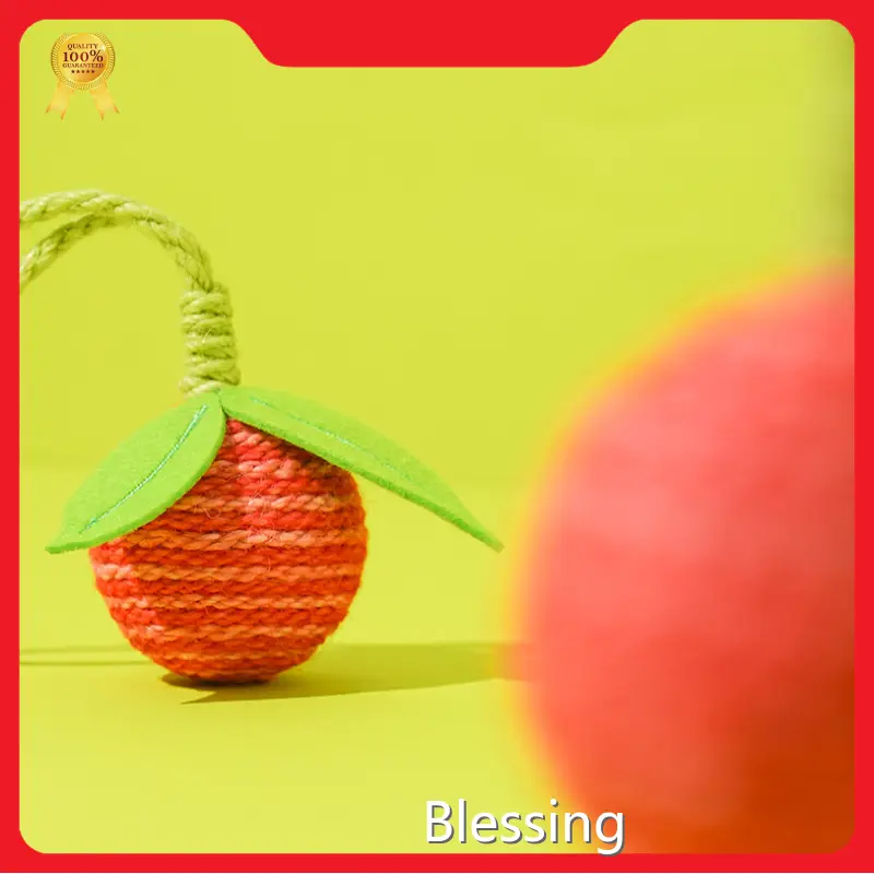 Blessing | OEM Wholesale Cat Supplies Manufacturers 1