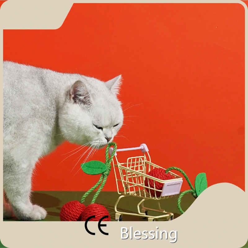 OEM Laser Cat Toy Blessing 1