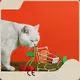 OEM Laser Cat Toy Blessing 1