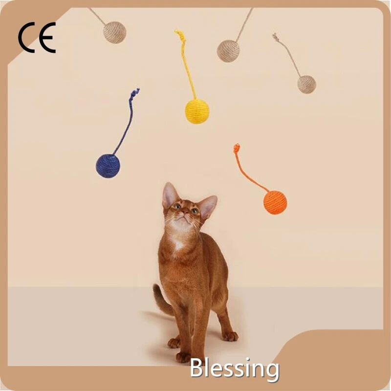 Cat Toy with Laser Blessing Brand 1