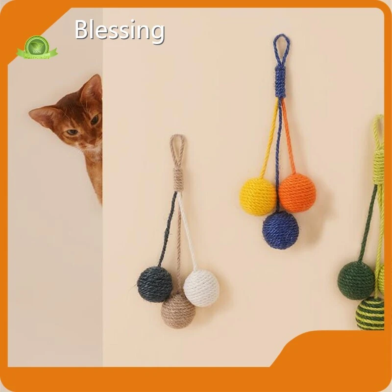 Hotwholesale Dog Toys Blessing Brand 1