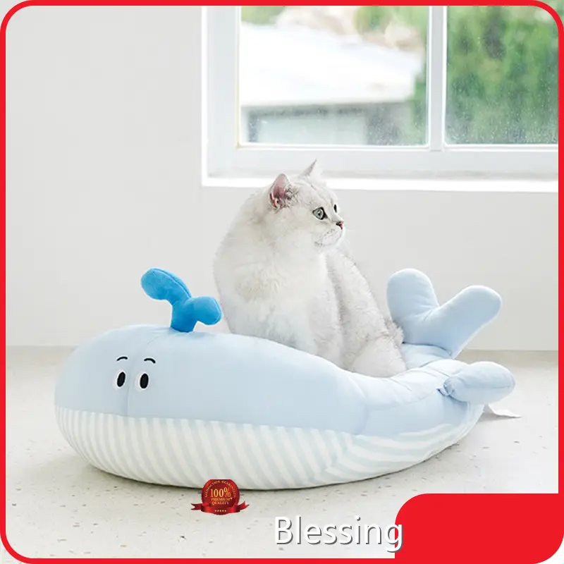 Wholesale Custom Outdoor Cat House Blessing Brand 1