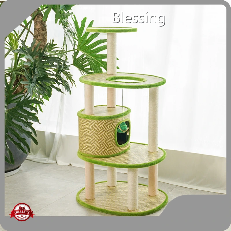 Hotcustom Pet House Blessing Brand 1