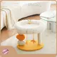 Indoor Dog House Blessing Brand 1