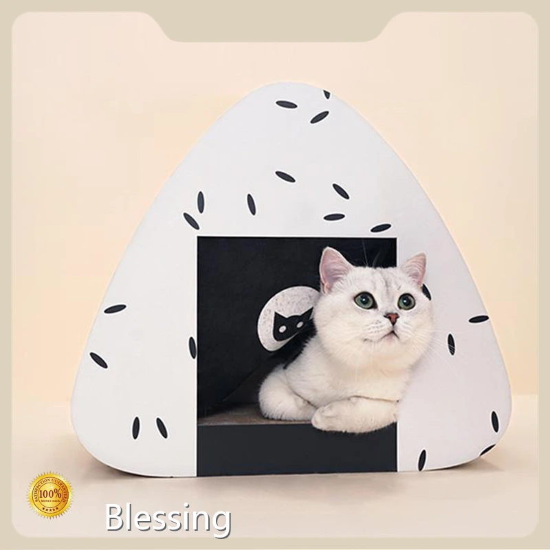 Wholesale Cat Supplies Blessing Brand 1