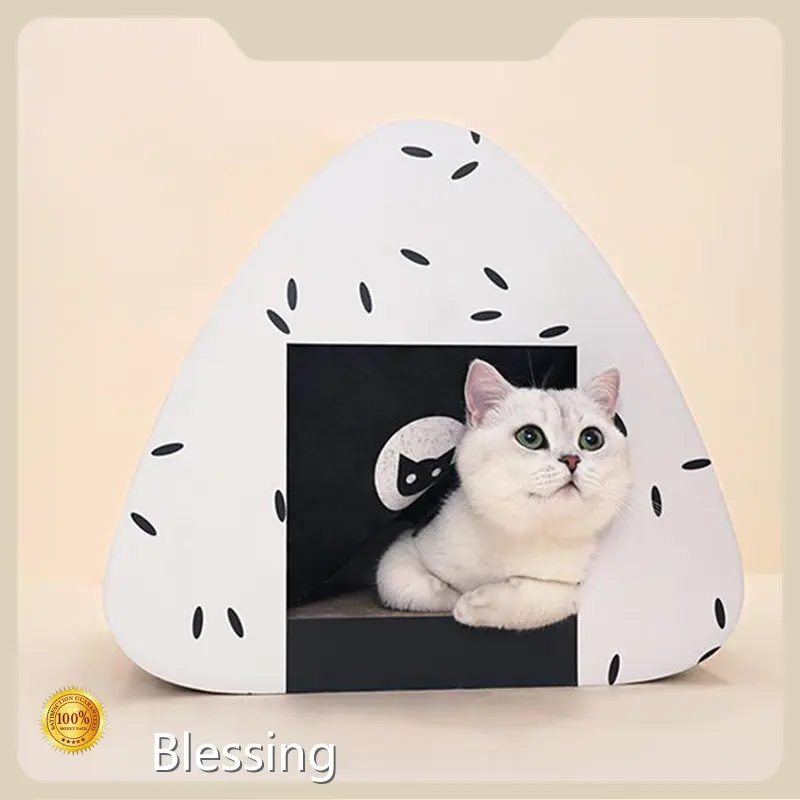 Wholesale Cat Supplies Blessing Brand 1