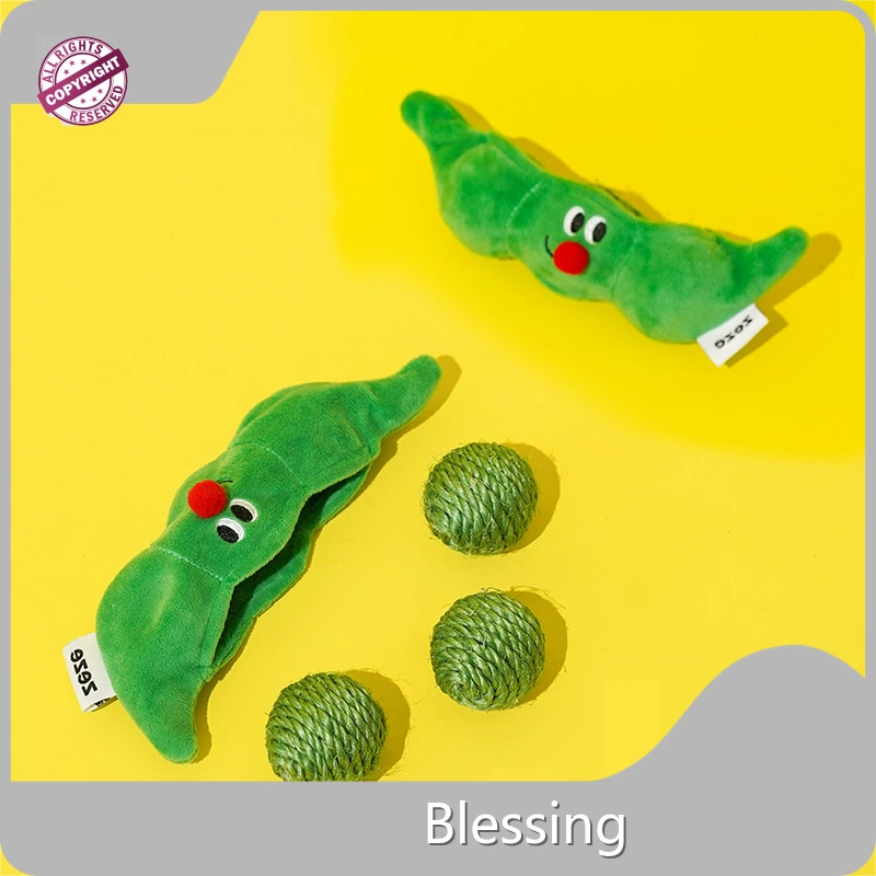 Wholesale Custom Dog Toys Blessing Company 1