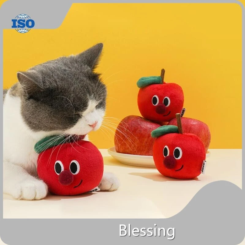 Blessing Wholesale Cat Supplies 1