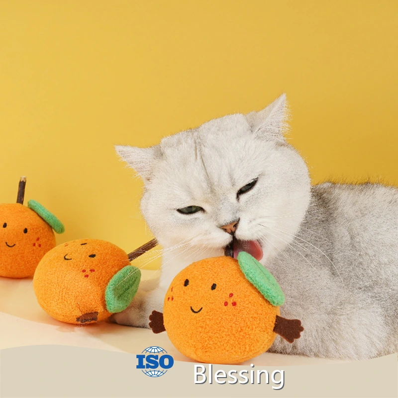 Latest Wholesale Dog Supplies Blessing Company 1
