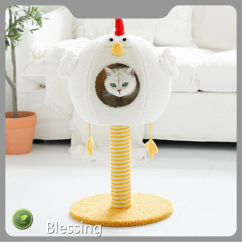 Blessing Large Dog Tent Bed - 1