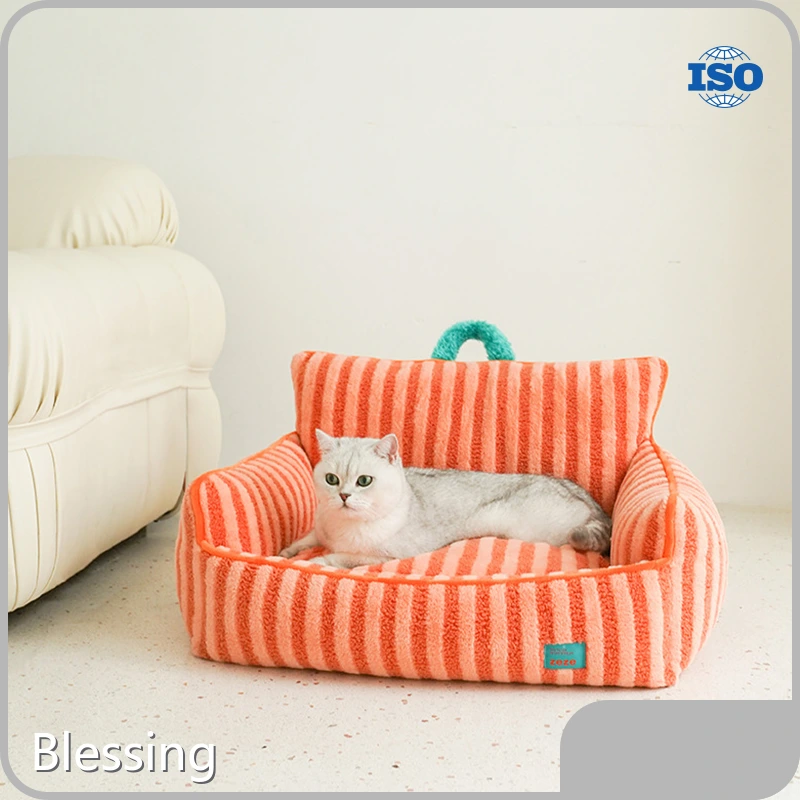 Custom Wholesale Dog Supplies Manufacturers Manufacturer | Blessing 1