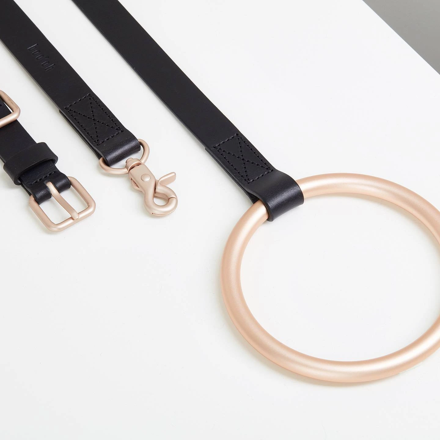 Aangepaste metalen cirkel halsbandset Set Comfortabele leren halsband en riem 1