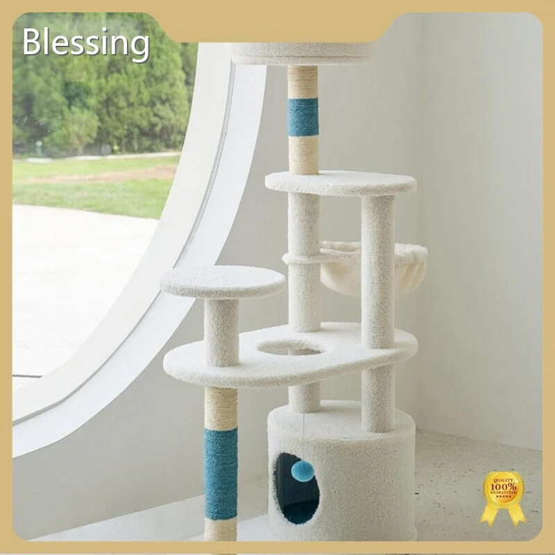 Wholesale Cat Supplies Blessing, 1