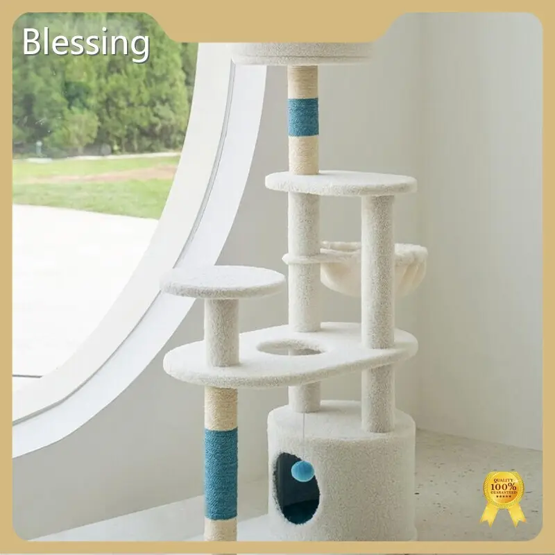 Wholesale Cat Supplies Blessing, 1