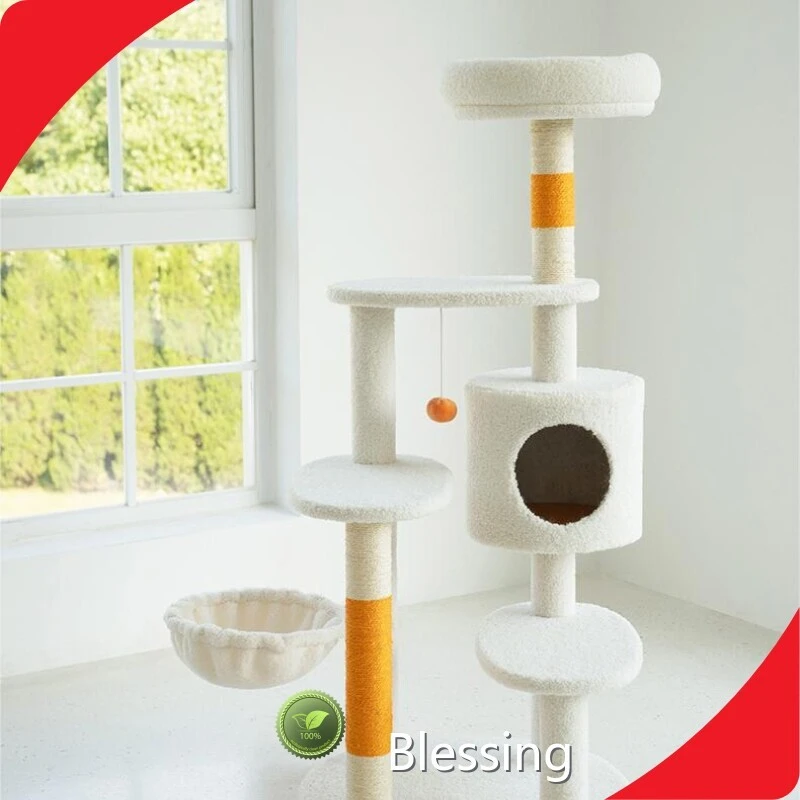 Wholesale Wholesale Cat Supplies Factory | Blessing 1