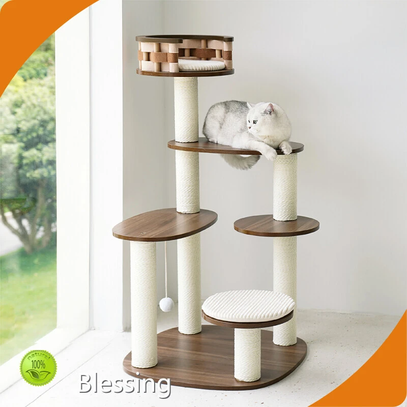 Wholesale Cat Supplies Bulk Buy Blessing 1