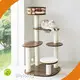 Wholesale Cat Supplies Bulk Buy Blessing 1