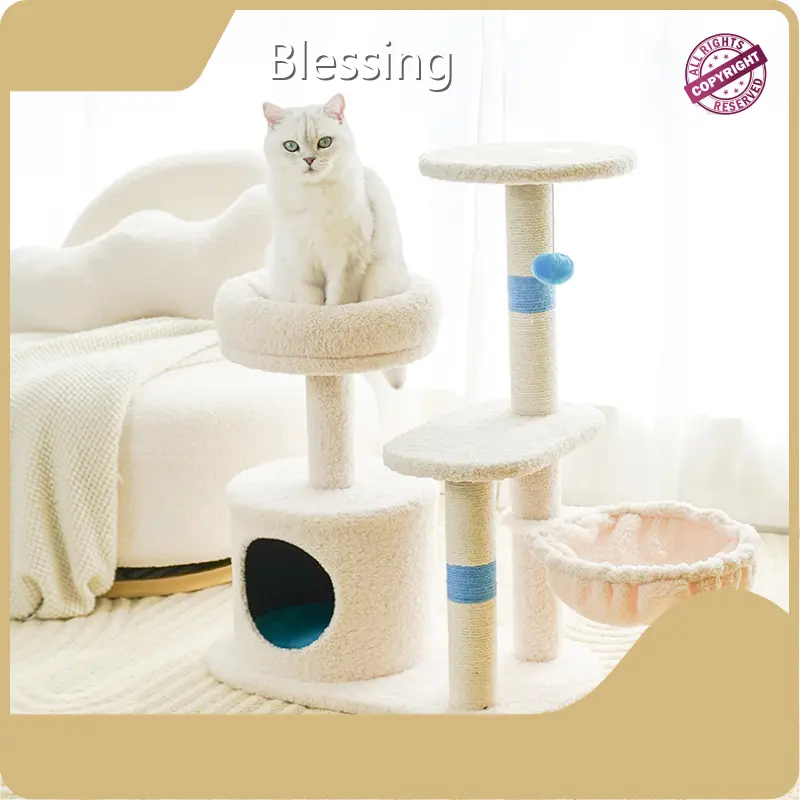 Wholesale Dog Supplies Blessing Brand Manufacturers 1