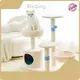 Wholesale Dog Supplies Blessing Brand Manufacturers 1