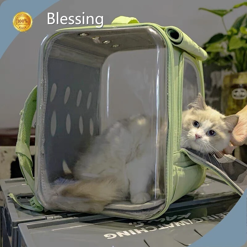 High-quality Cat Mesh Backpack Blessing Manufacture 1