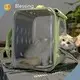 High-quality Cat Mesh Backpack Blessing Manufacture 1