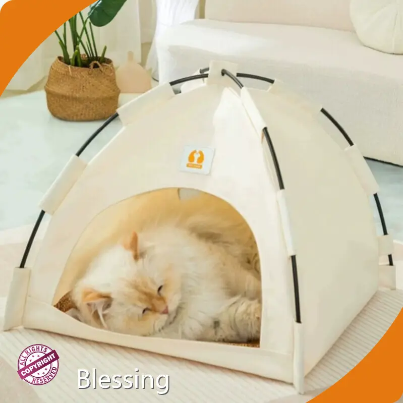 Bed Tent for Dogs Manufacturers Blessing 1