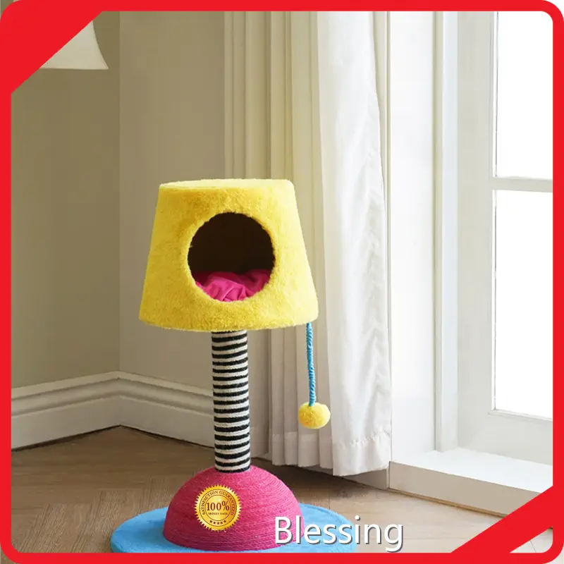 Custom Custom Cat House Blessing 1