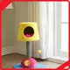 Custom Custom Cat House Blessing 1