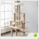 Latest Wholesale Dog Supplies Wholesale Dog Supplies Company 1