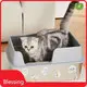 Custom Pet Cleaning Supplies Blessing 1