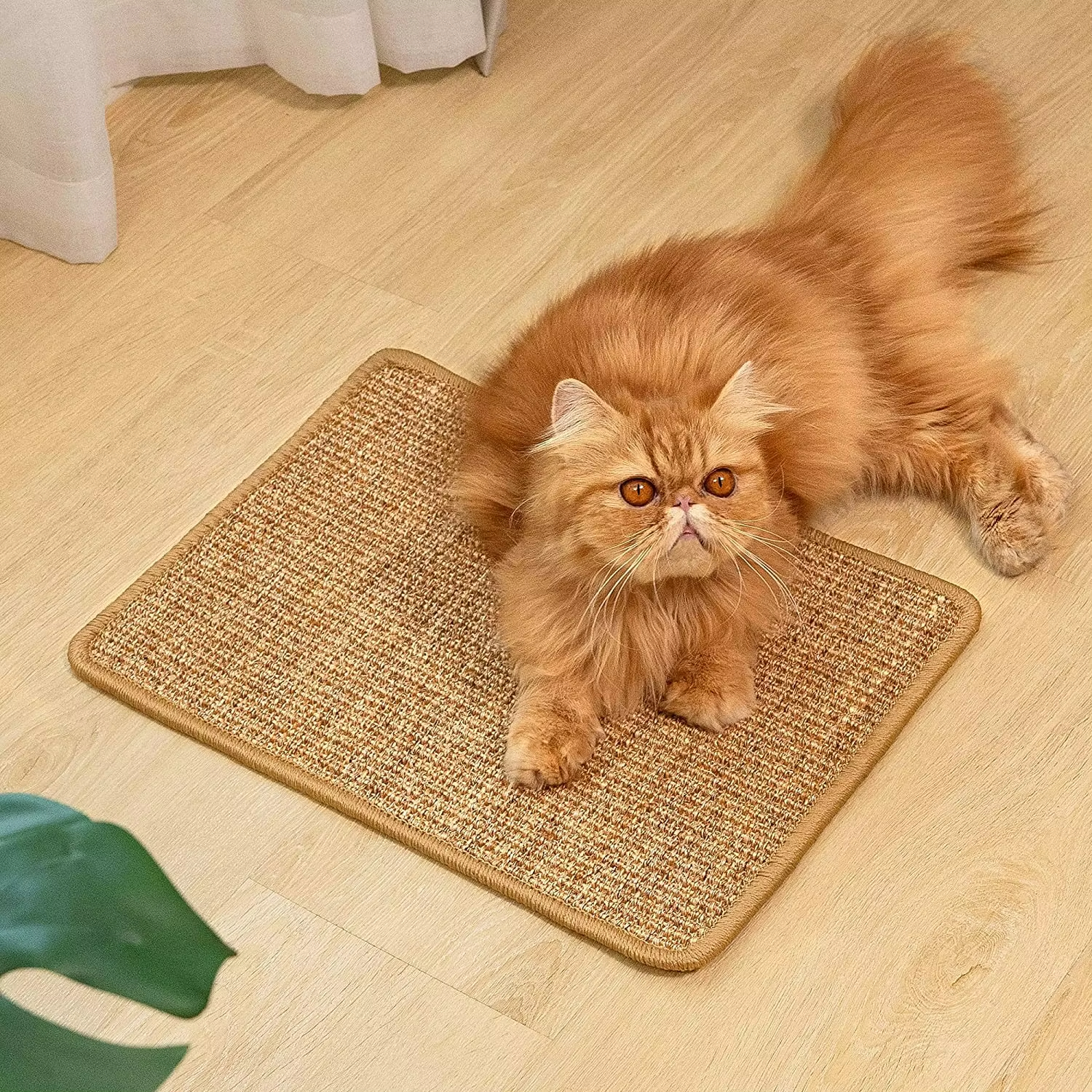Cat Scratch Couch Mat Krabben met natuurlijk sisal voor meubelbescherming Scratcher Pet leverancier 1