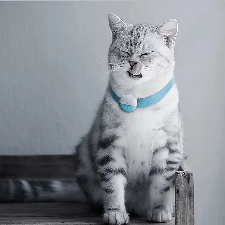 Blue-Pet Health & مراقبة الموقع، جهاز تعقب GPS مقاوم للماء، طوق تتبع اللياقة البدنية للقطط 1