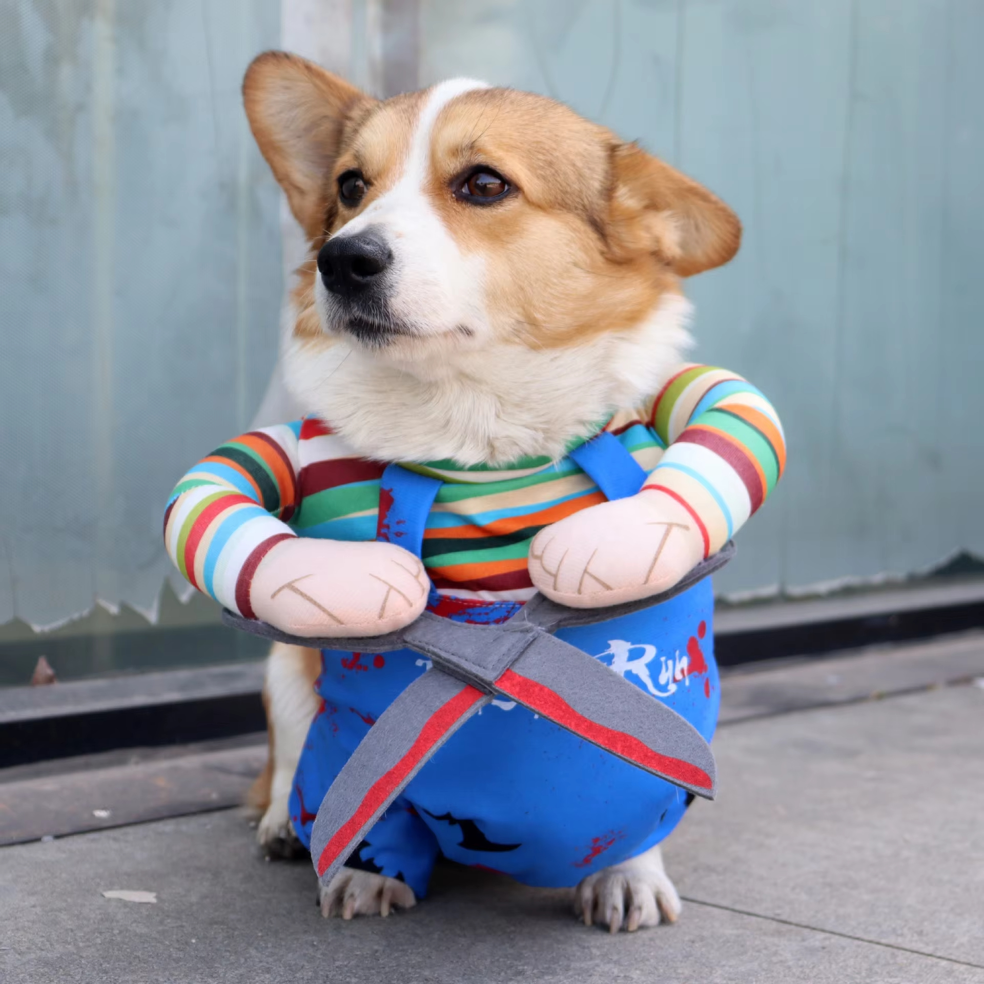 Ropa de Halloween para mascotas, ropa para perros y gatos, ropa de transformación divertida, tijeras para sujetar, ropa de Cosplay, vestido de pie, accesorios para mascotas 1