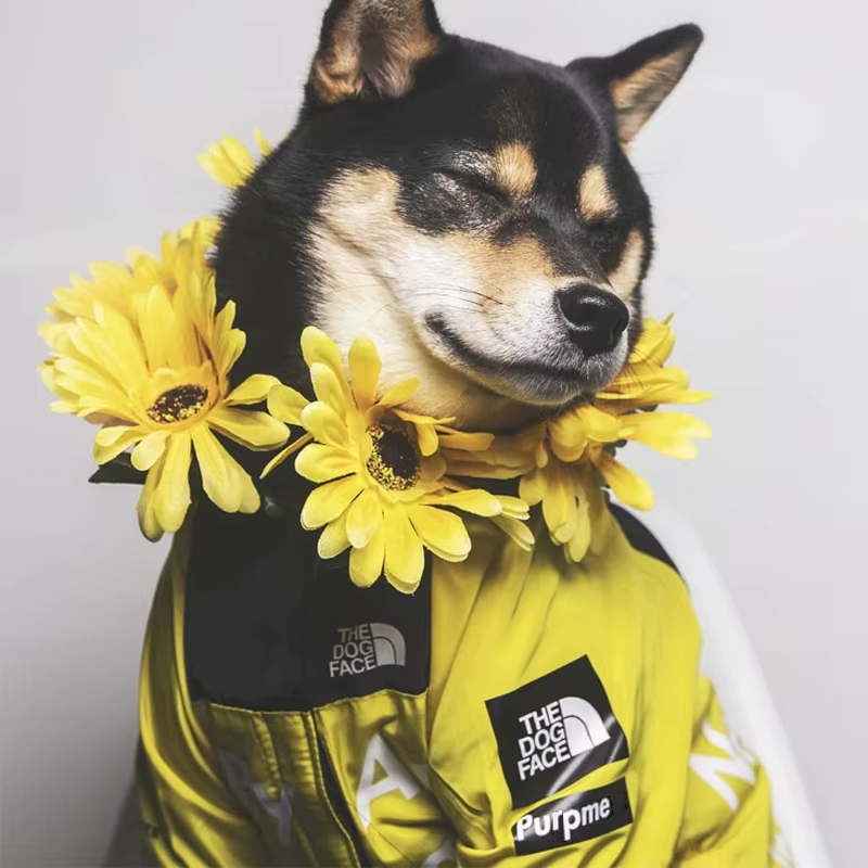 Yellow-Fashion Pet Dog Waterproof Coat The Dog Face Outdoor Jacket Reflective Raincoat For Small Medium Large Dog Cat Pet Clothes 1