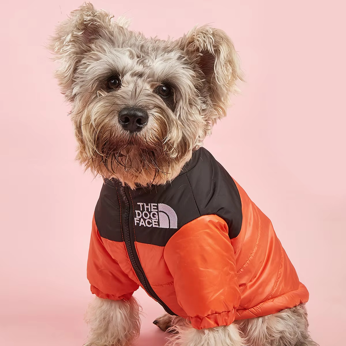 Orange-High Quality Warm Winter Waterproof Customized Pet Supplies winter jacket designer reflective pet clothes 1