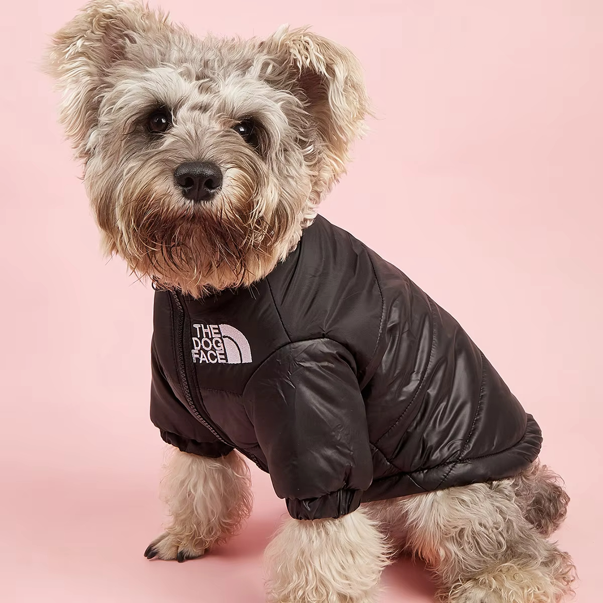 Zwart-groothandel luxe designer hondenkleding jassen jas met effen pluizig warm winterpatroon duurzaam nylon sport 1