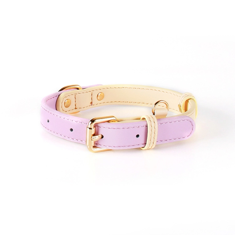 oem Popular Premium Solid Candy Color Custom Logo Pet Collars Leather Dog Collar for Your Pet Business-purple 1