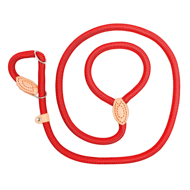 Groothandel op maat sterke nylon hondenriem Wandelen Camping Veiligheid Comfortabel handvat Duurzame hondenriem-rood 1