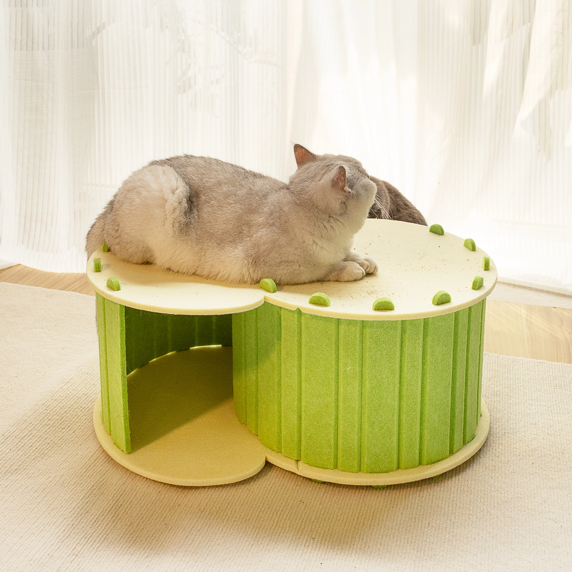 groothandel Modieuze vilten huisdierbedden met groengrijs schattig kattenkrabhuisnest voor katten gevuld-groen1 1