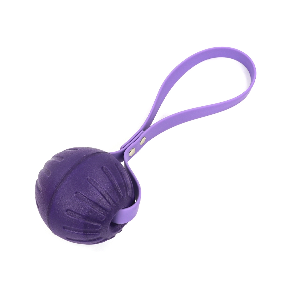 wholesale New Products Natural Rubber Ball With PVC Coated Webbing Interactive Dog Toy for Dogs Boredom and Chewy Food Toys-purple 1