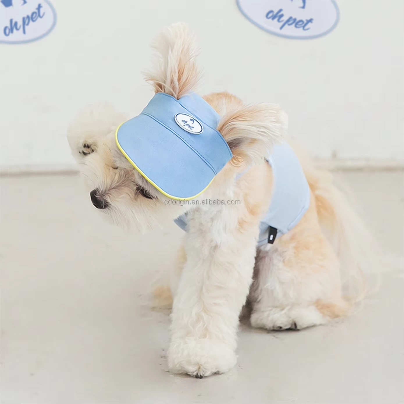 groothandel Hot Sale Custom Brand Hond Zonnehoed Met Oorgaten Zomer Hond Trucker Cap Huisdier Cap Hoed Oorgaten huisdier Hoofddeksels blauw 1